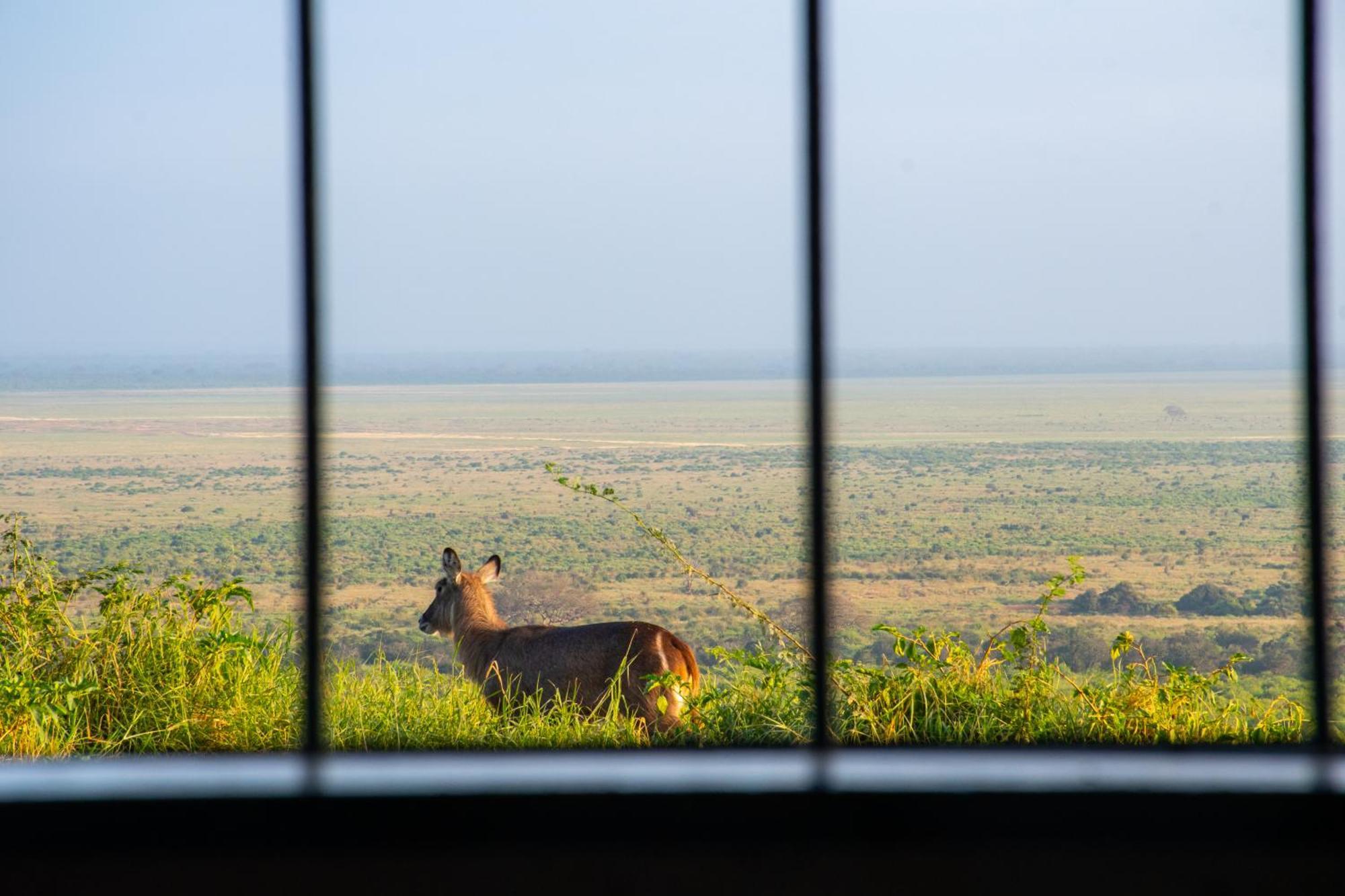 Voi Safari Lodge Exterior foto